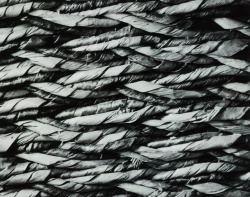 2024 Abstract Finalist, River Muller, Hazen