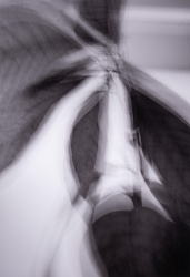 2025 Abstract Finalist, Nathan Choy, Inglemoor