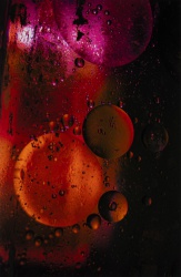 2024 Abstract Finalist, Griffin McKnight, Woodinville