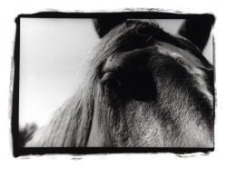 2024 Traditional Black & White Finalist, Olivia Montgomery, Stadium