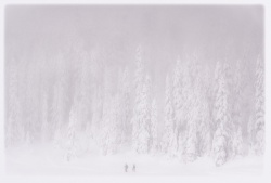 2025 Landscape 1st Place, Lucas Talbot, Inglemoor