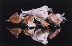 2025 Still Life 1st Place, Callum Blatt, Newport