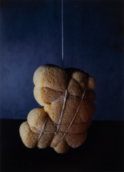 2025 Still Life 6th Place, Katerina Strand, Juanita
