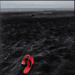 2024 Still Life Finalist, Caleb Wax, Kentlake