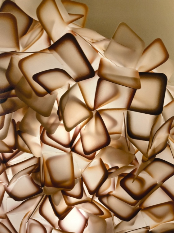 2024 Abstract Finalist, Darius Kalani Taylor, Kentwood