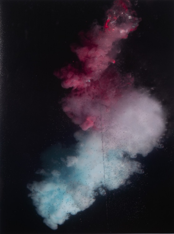 2025 Abstract Finalist, Charlotte Storey, Bothell