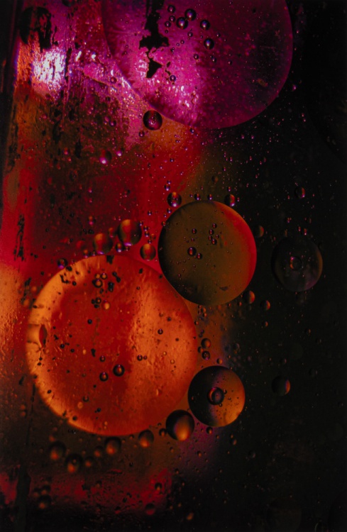2024 Abstract Finalist, Griffin McKnight, Woodinville