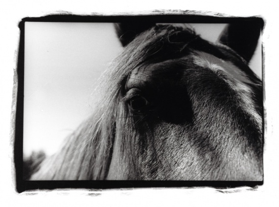 2024 Traditional Black & White Finalist, Olivia Montgomery, Stadium