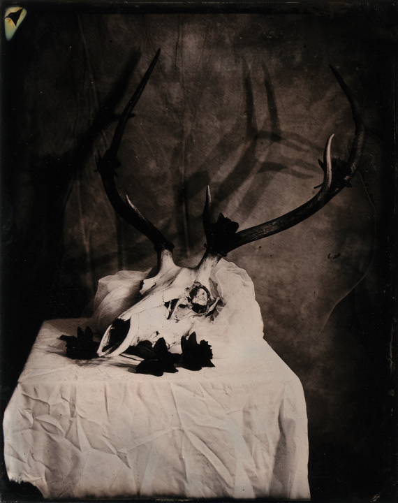 2026 Still Life 1st Place, Shalini Mishra, Inglemoor